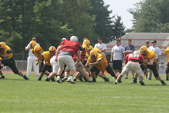 Picture_529