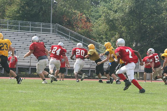 Picture_531