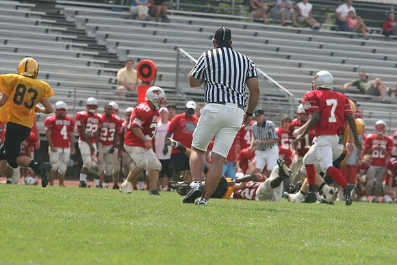Picture_533