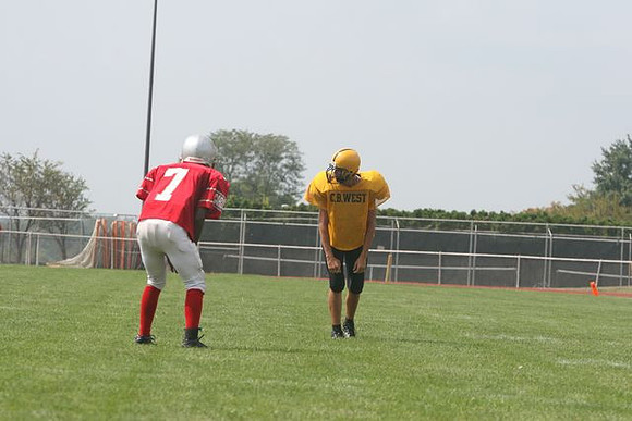 Picture_535