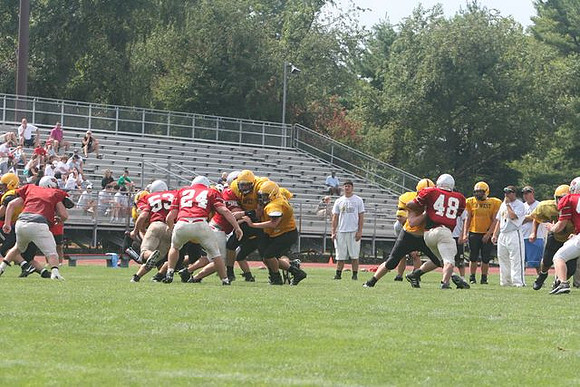 Picture_536