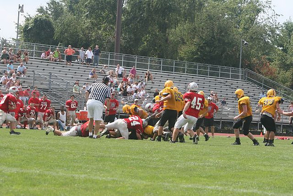 Picture_537
