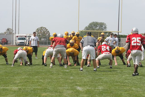 Picture_543
