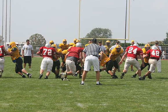 Picture_544