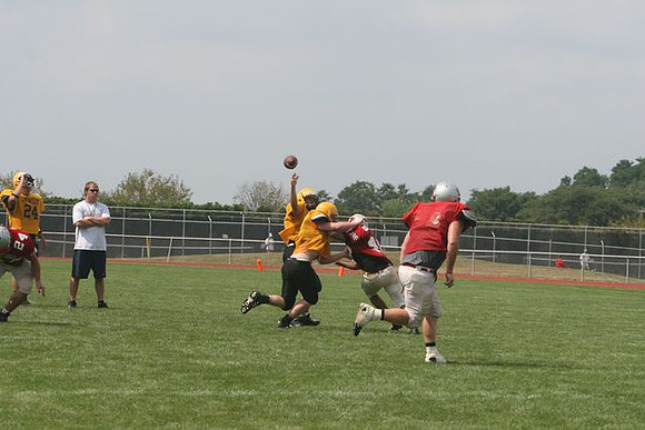 Picture_546