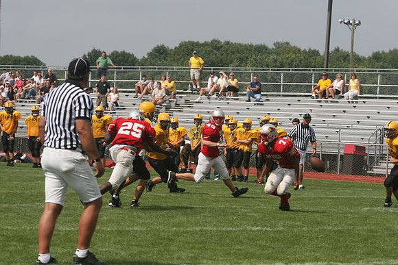 Picture_547