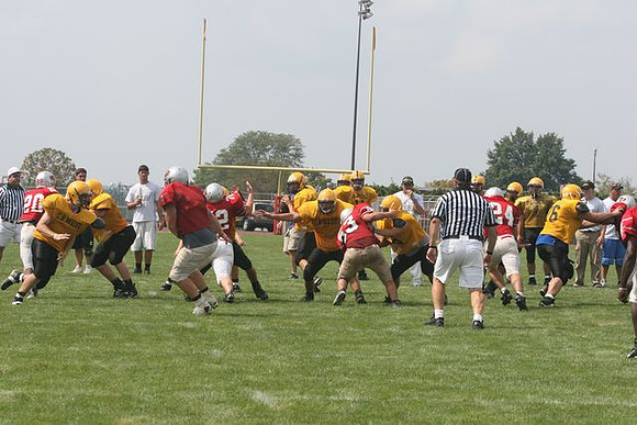 Picture_549
