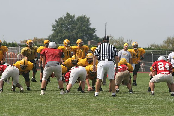Picture_551