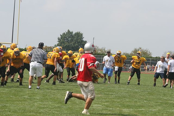 Picture_550