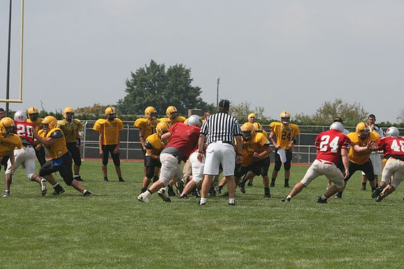 Picture_552