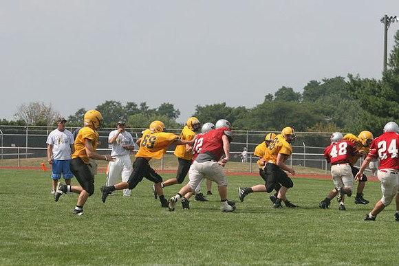 Picture_553