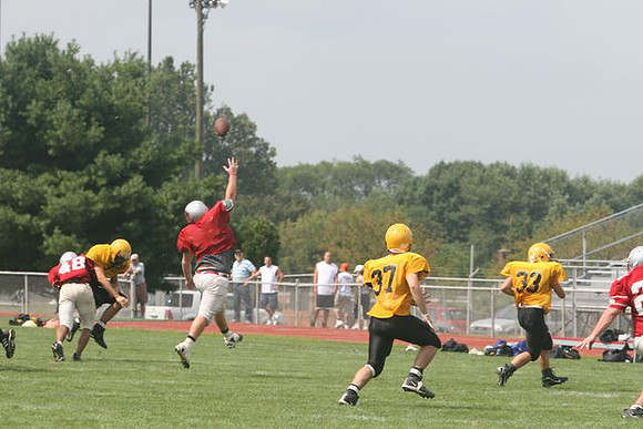 Picture_554