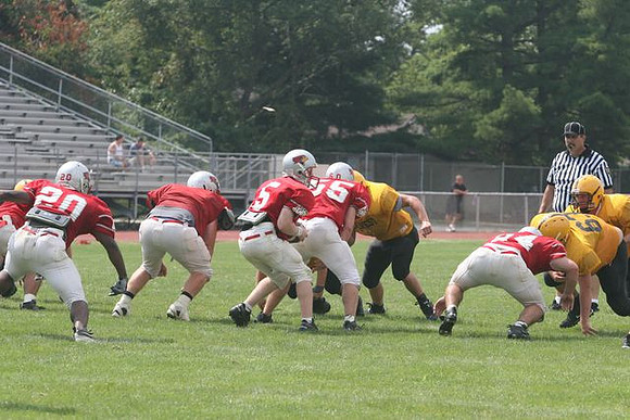 Picture_556
