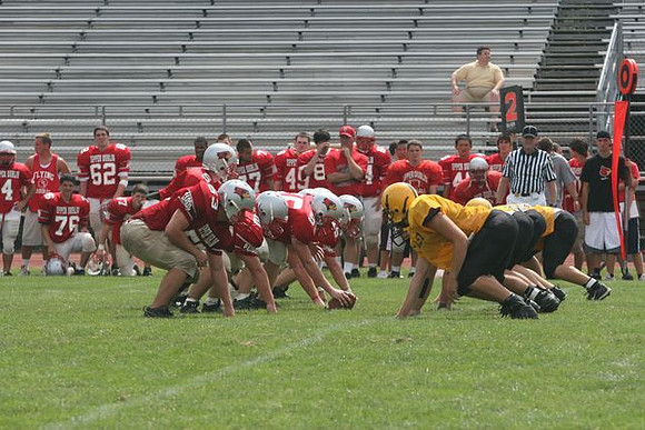 Picture_558