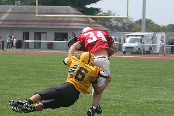 Picture_560