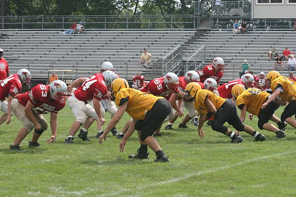 Picture_561