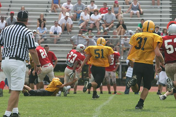 Picture_564