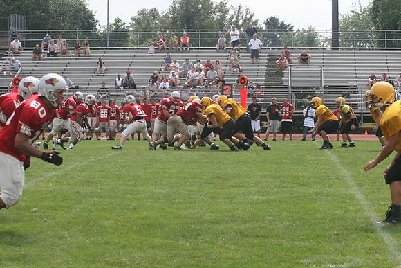 Picture_571