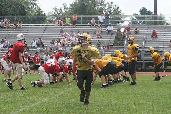 Picture_591