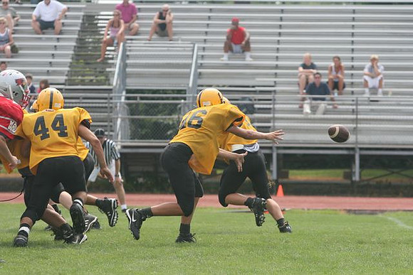 Picture_593