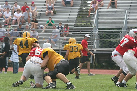 Picture_595