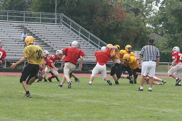 Picture_613