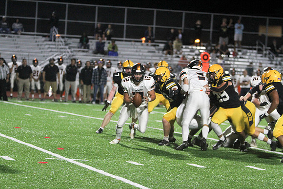 IMG_6935