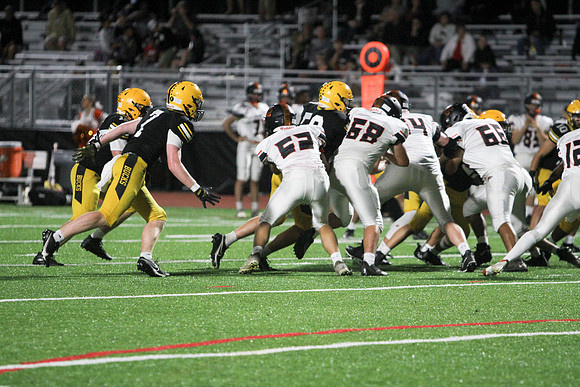 IMG_6945