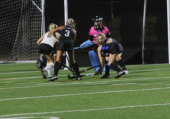 IMG_2434