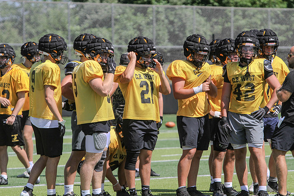 IMG_8517