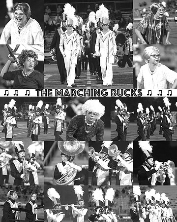 Marching Bucks BW insert